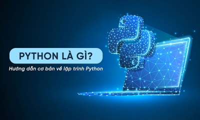 Python là gì? Cách sử dụng Python cho người mới bắt đầu
