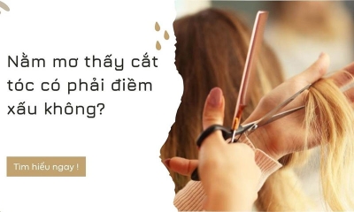 Mơ thấy cắt tóc là hên hay xui? Số may mắn khi mơ thấy cắt tóc