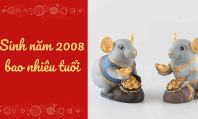 2008 là bao nhiêu tuổi? Mệnh gì? Khắc và hợp với màu gì?