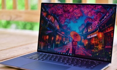 Tải ngay hình nền laptop Full HD, mèo, capybara hot nhất