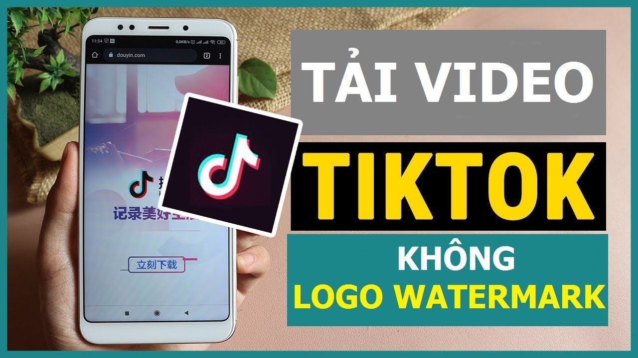 video tiktok khong co logo 1 jpg