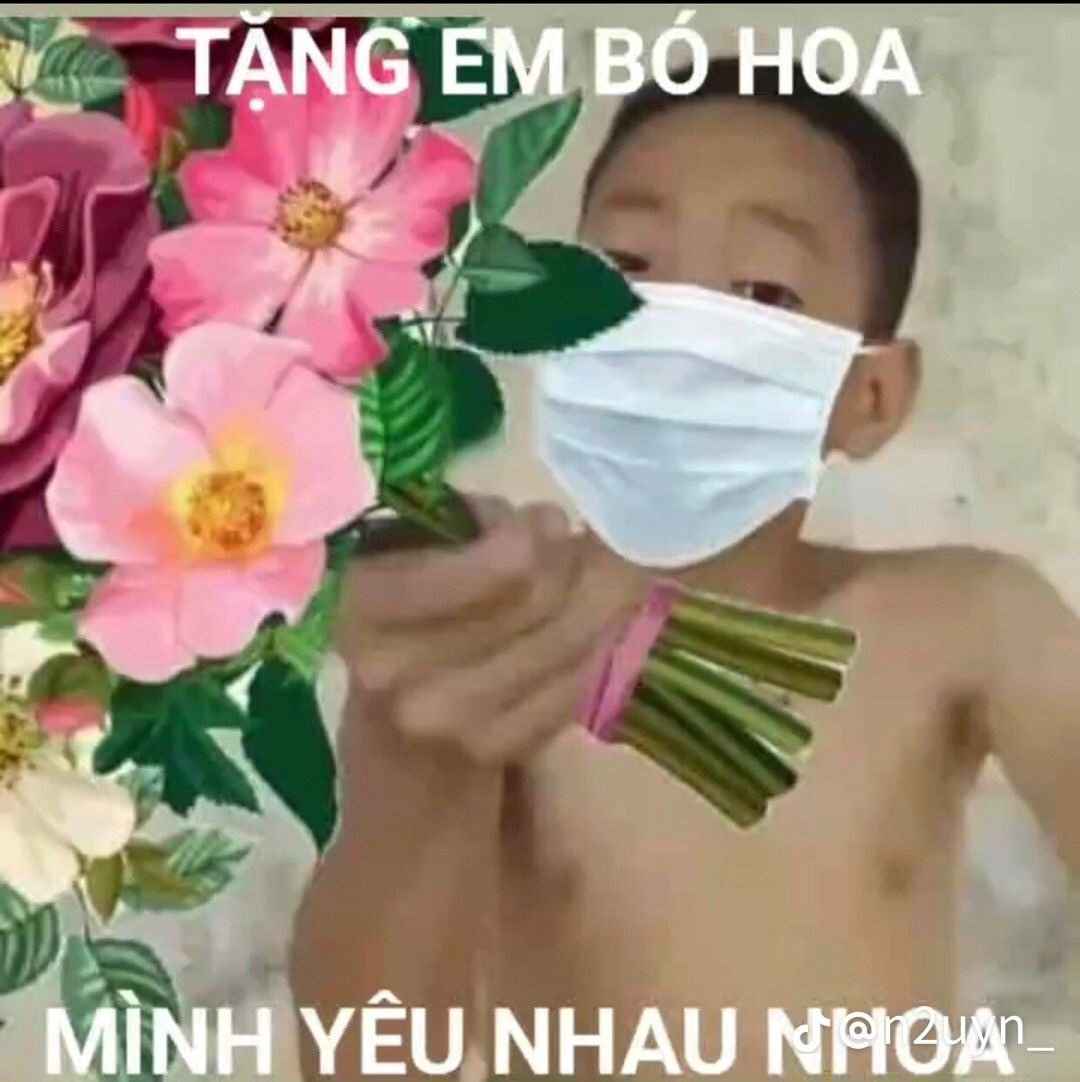 tang hoa meme 6 jpg