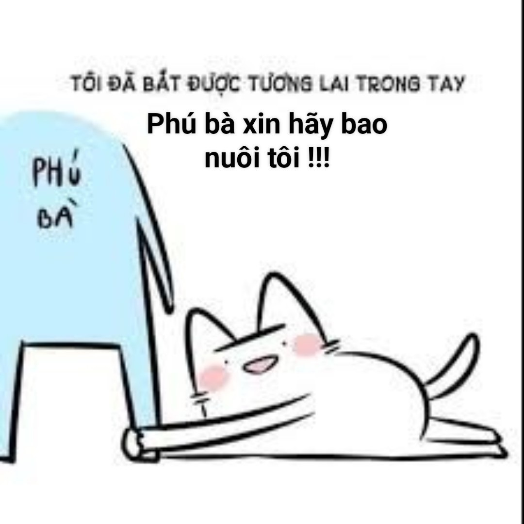 phu ba xin hay bao nuoi toi meme 3 jpg