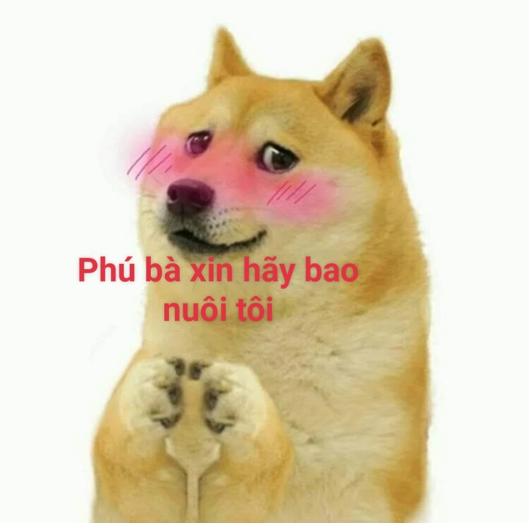 phu ba xin hay bao nuoi toi meme 4 jpg