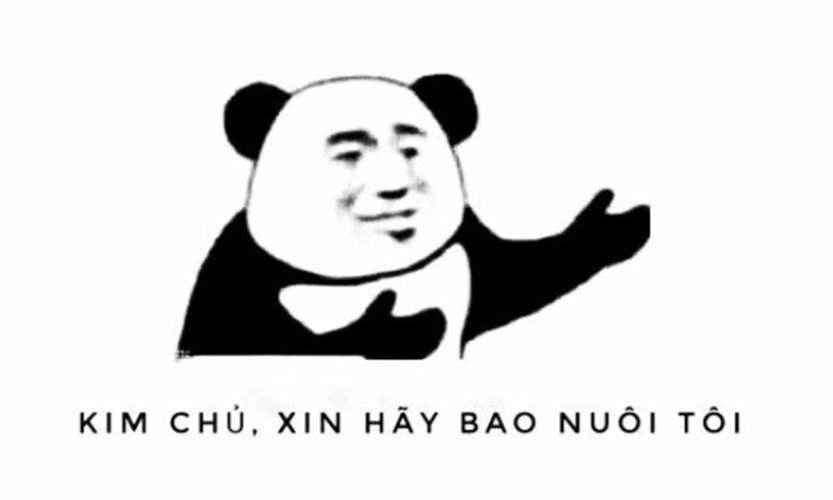 phu ba xin hay bao nuoi toi meme 5 jpg