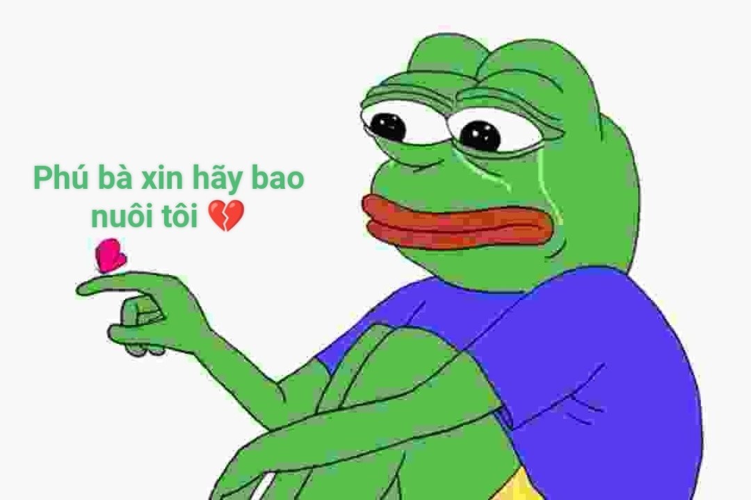 phu ba xin hay bao nuoi toi meme 6 jpg