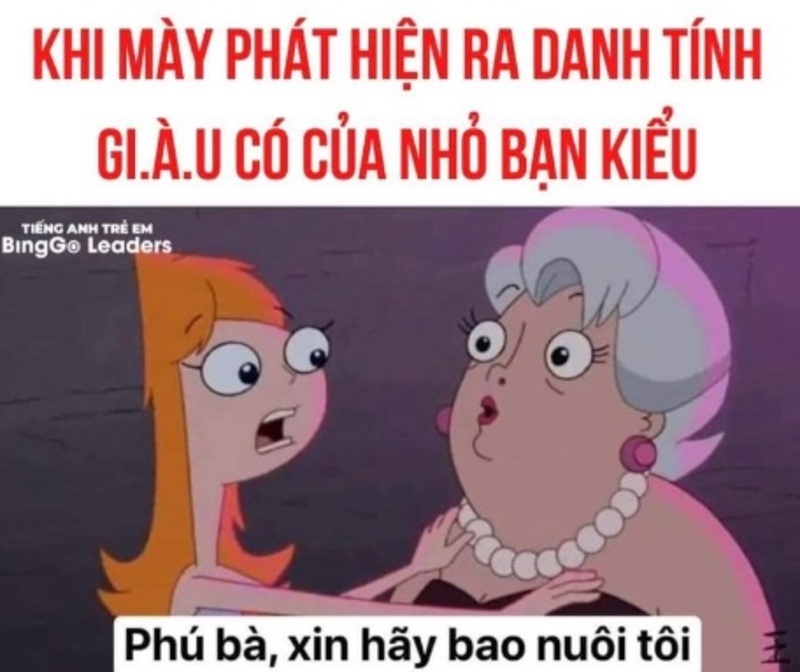 phu ba xin hay bao nuoi toi meme 7 jpg