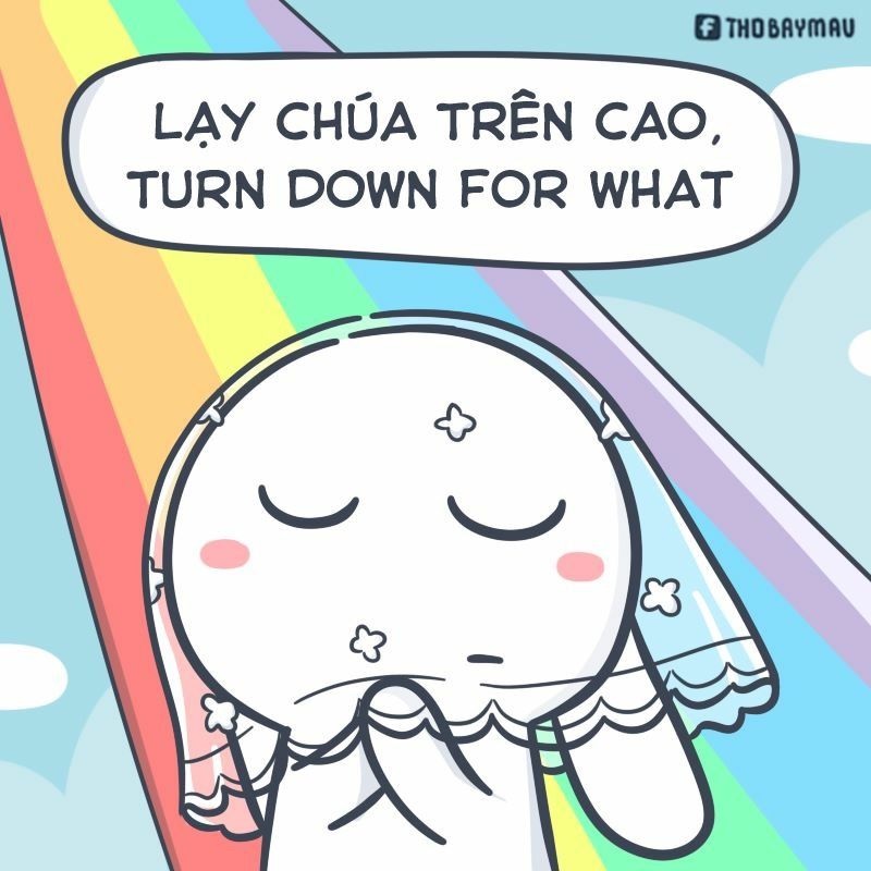 Top ảnh lạy meme chó, mèo hài hước nhất năm 2024