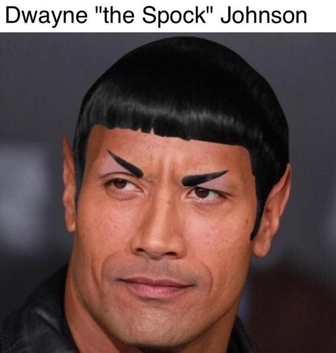 the rock meme 4 jpg