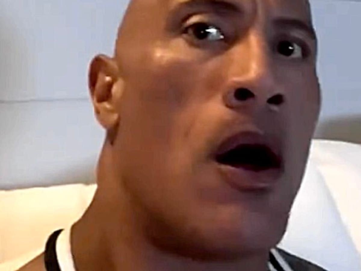 the rock meme 7 jpg