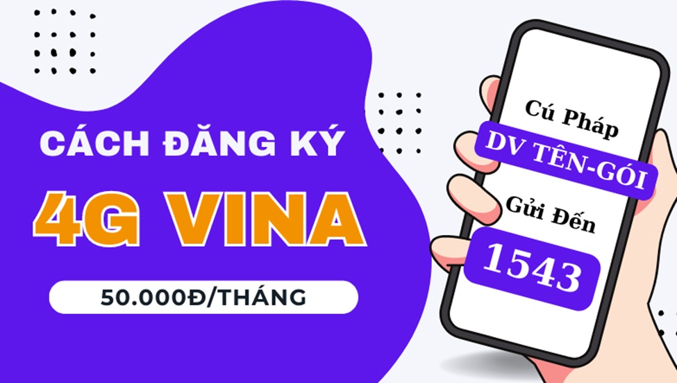 dang ky mang vina 4 jpg